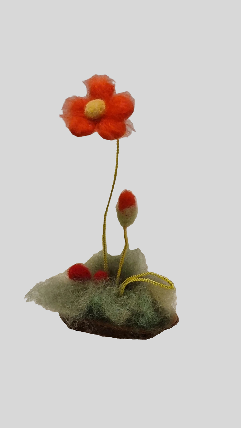 Flori de câmp lânoase Decor natural pentru casă