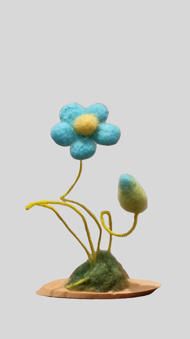 Flori de câmp lânoase Decor natural pentru casă