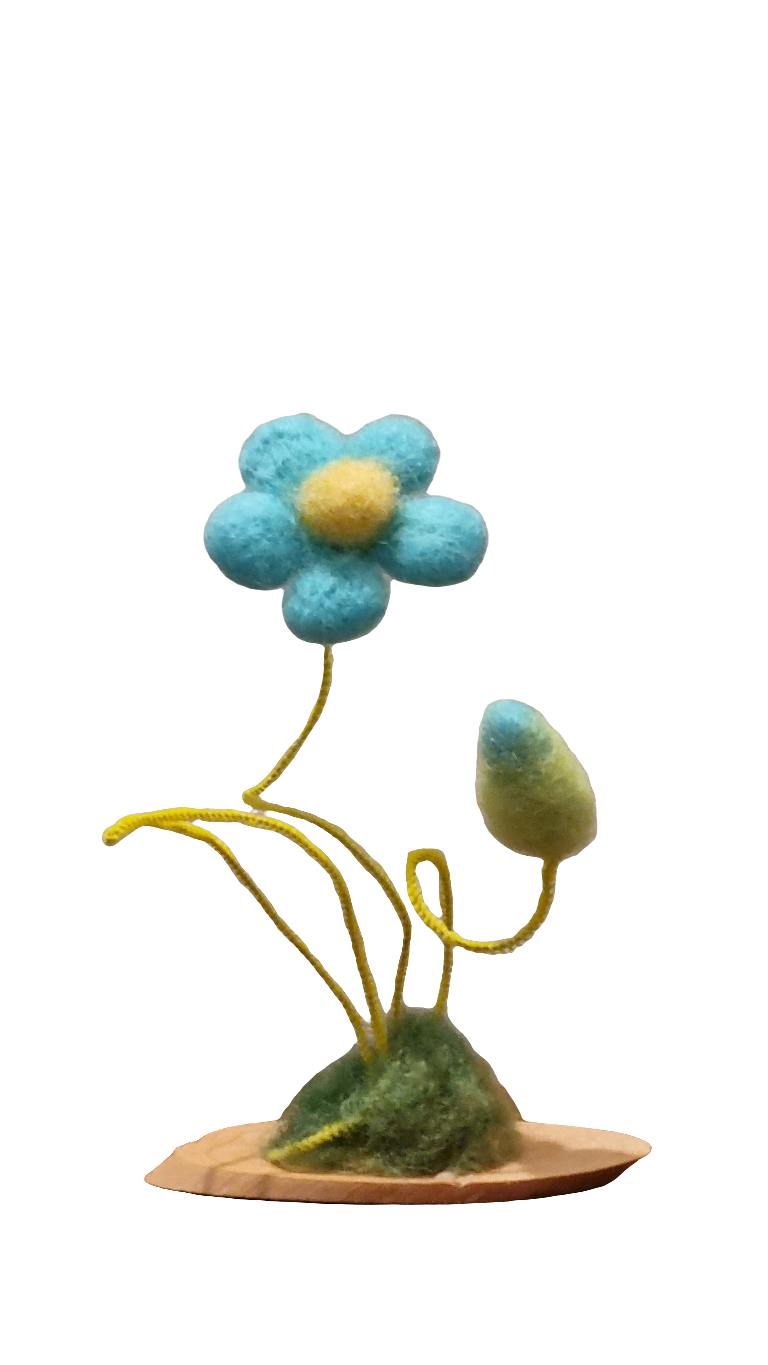 Flori de câmp lânoase Decor natural pentru casă