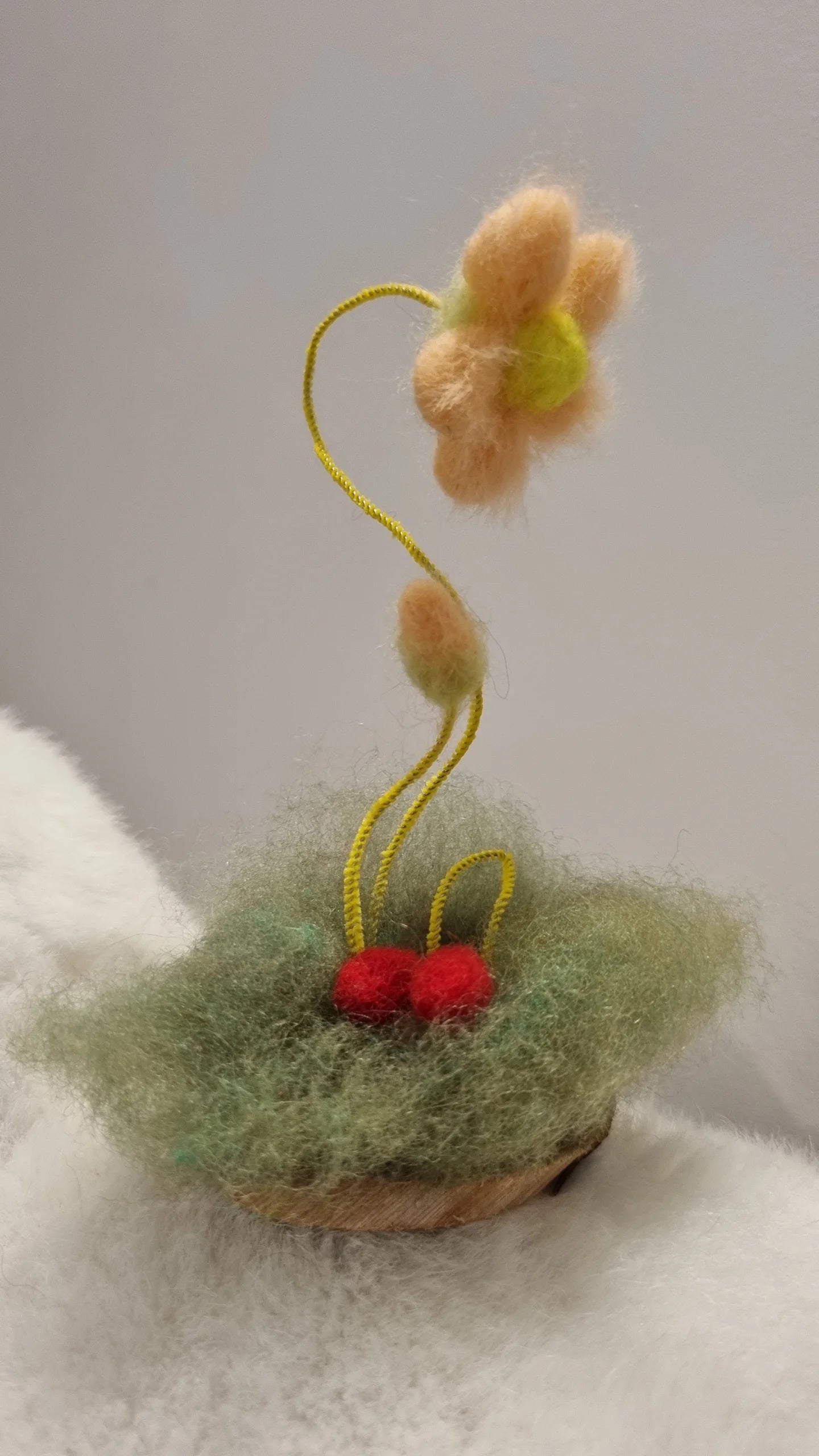 Flori de câmp lânoase Decor natural pentru casă