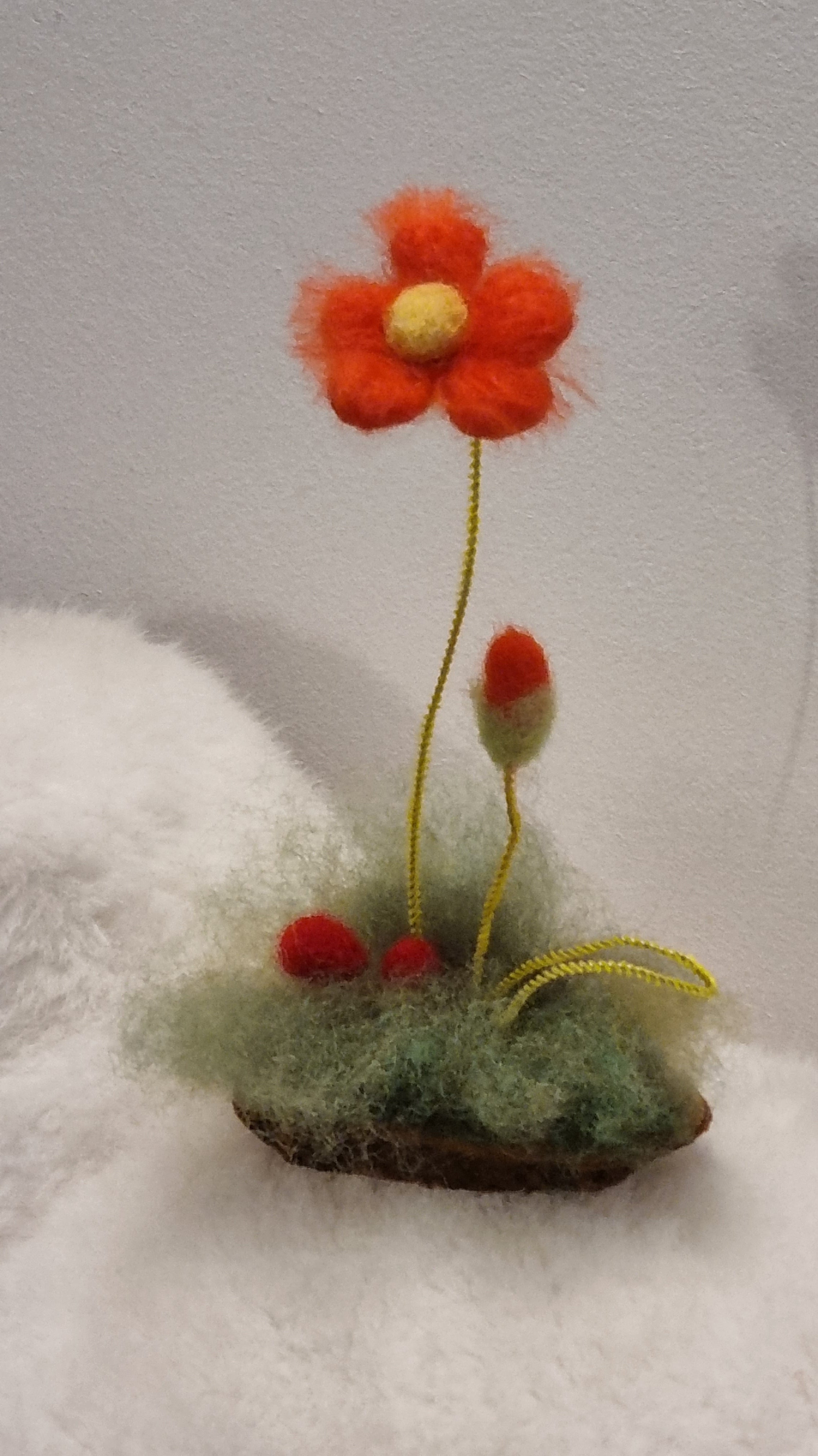 Flori de câmp lânoase Decor natural pentru casă