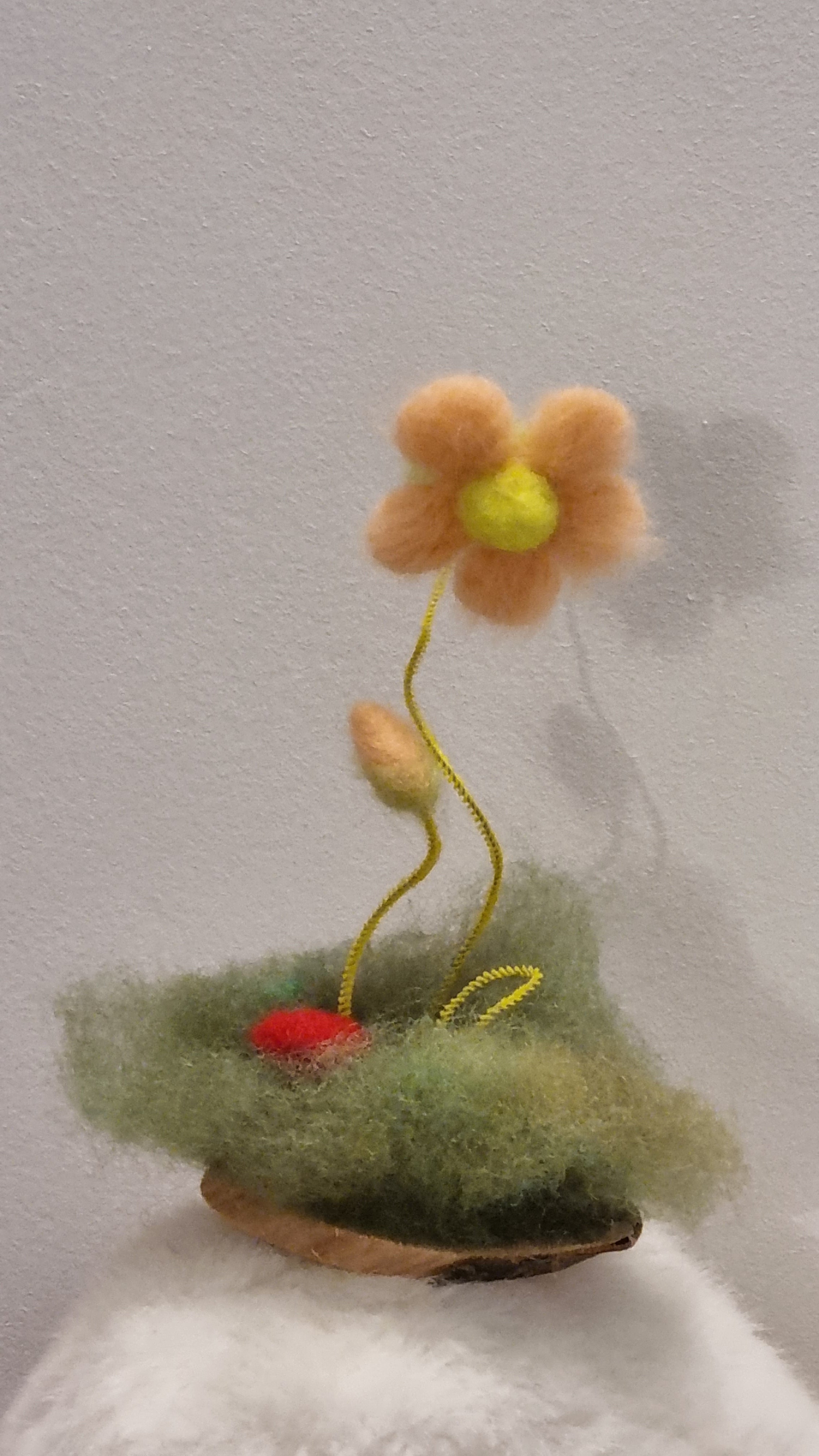 Flori de câmp lânoase Decor natural pentru casă