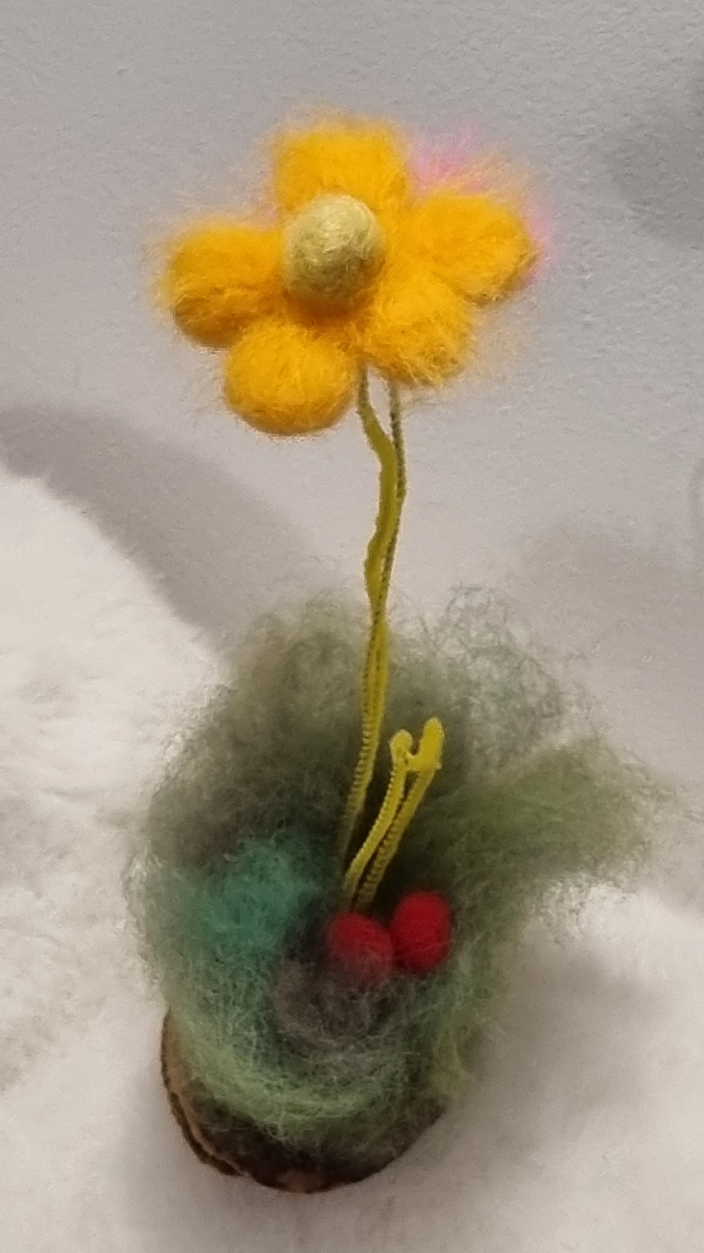 Flori de câmp lânoase Decor natural pentru casă