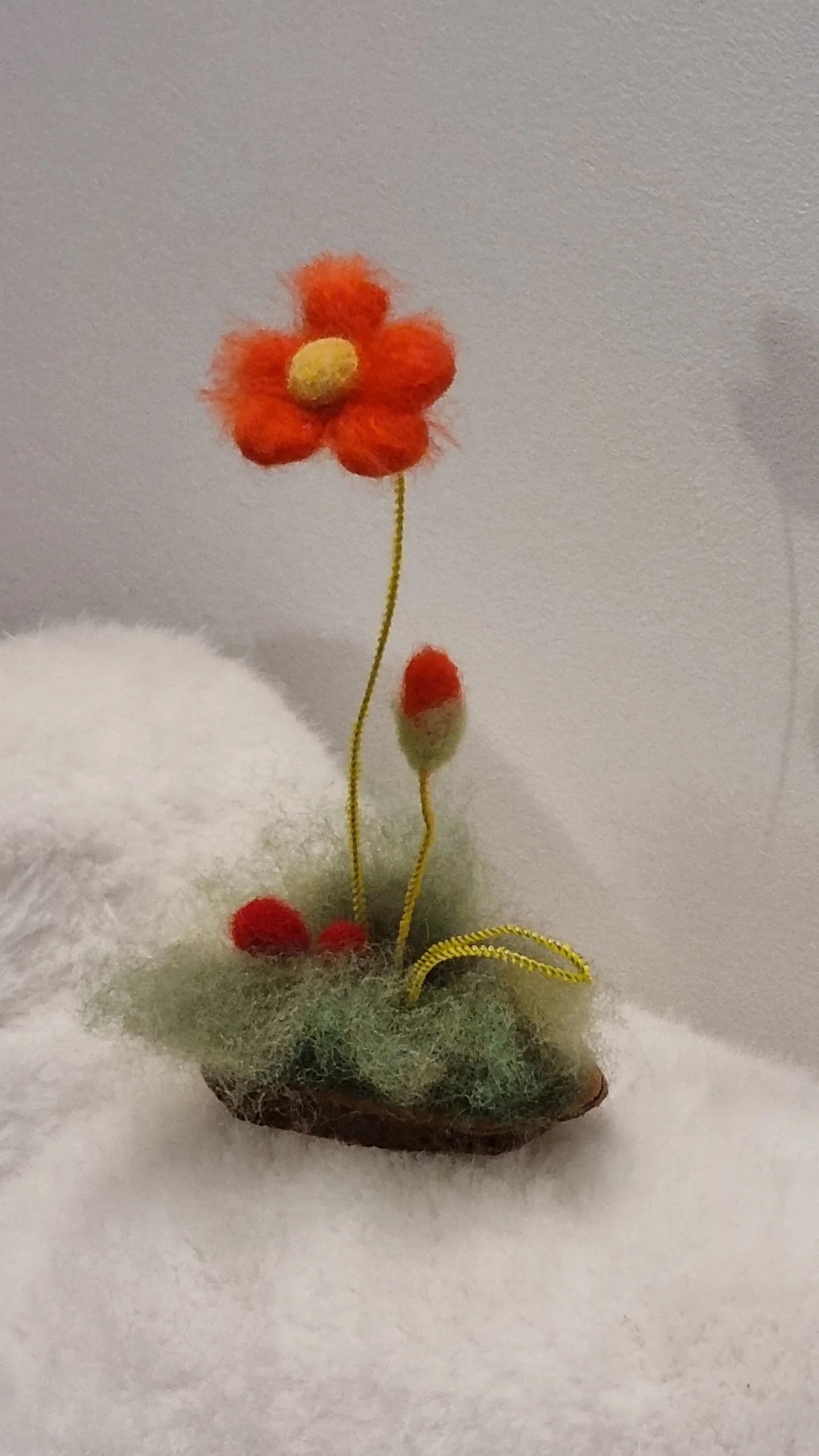 Flori de câmp lânoase Decor natural pentru casă