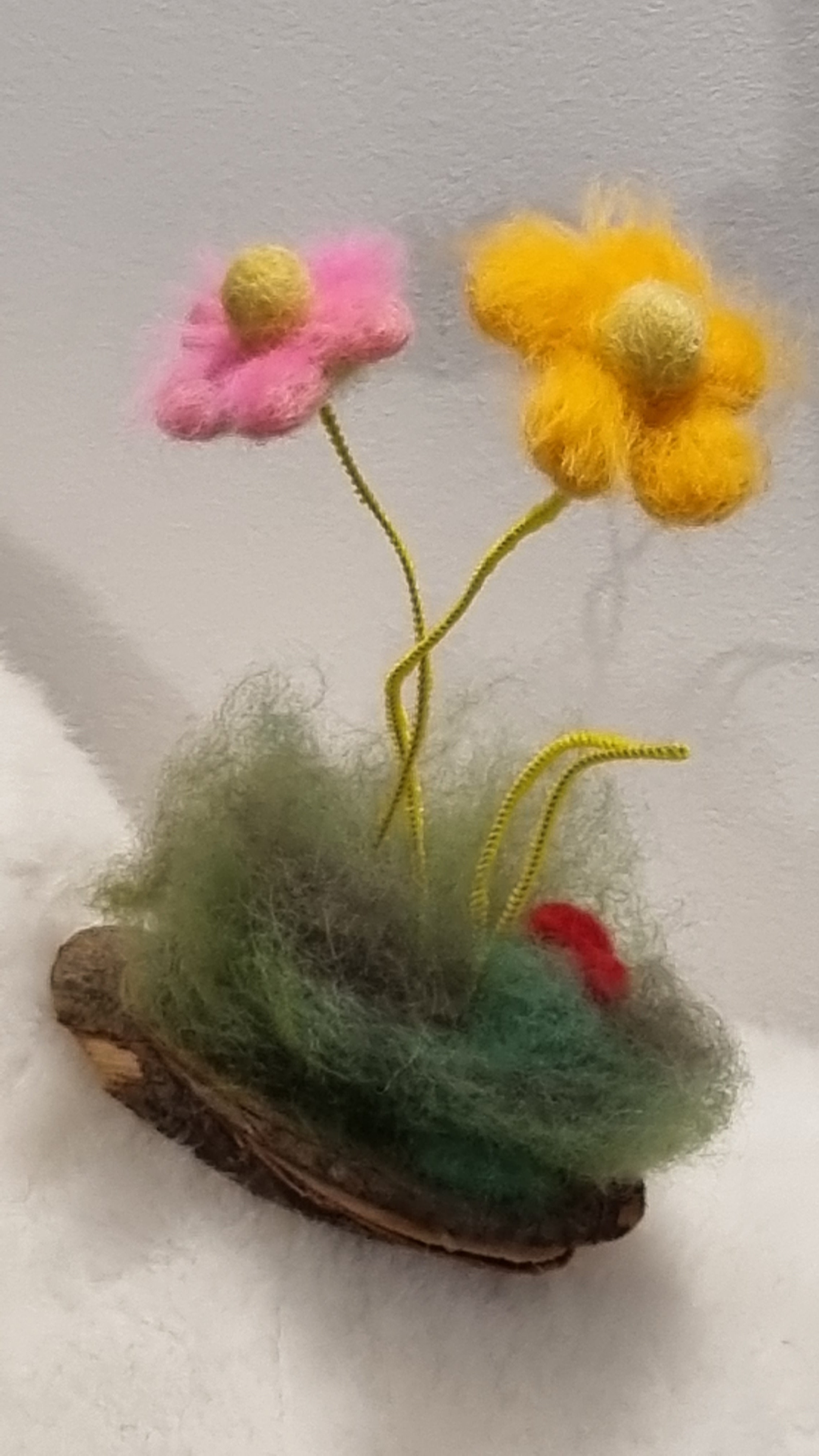 Flori de câmp lânoase Decor natural pentru casă